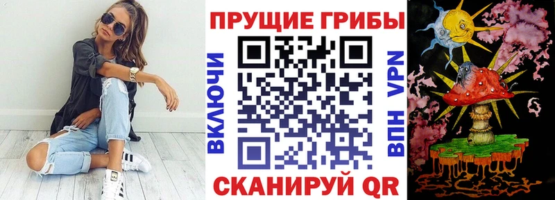 даркнет официальный сайт  Юрьев-Польский  Галлюциногенные грибы Cubensis 